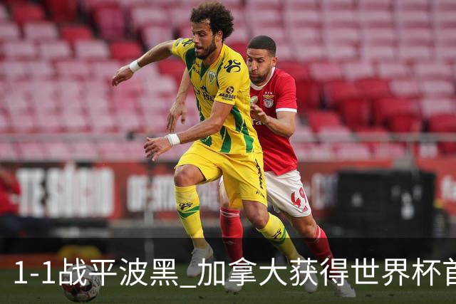 1-1战平波黑 加拿大获得世界杯首个积分